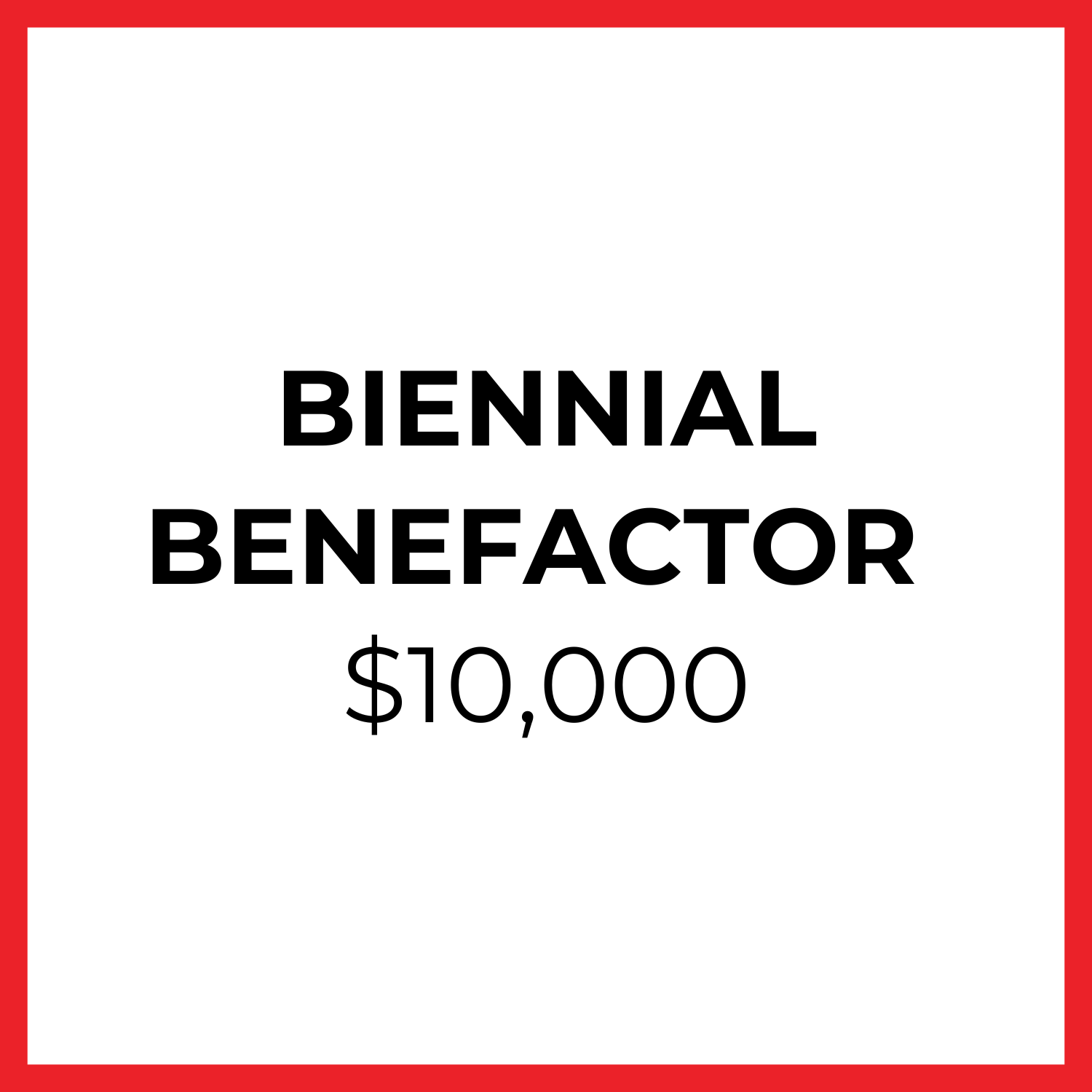 auction 2024 – biennial benefactor-2