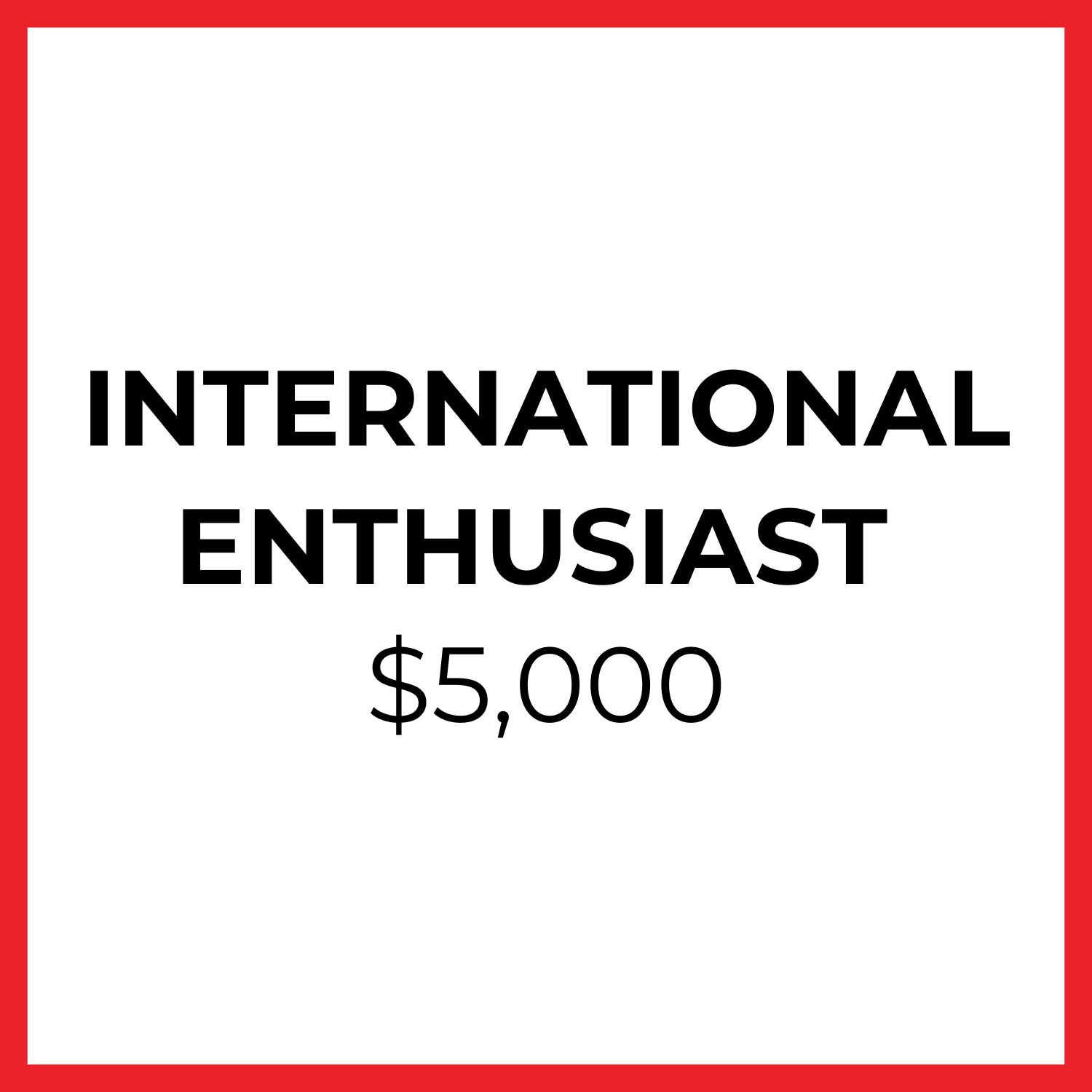 auction 2024 – international enthusiast-2