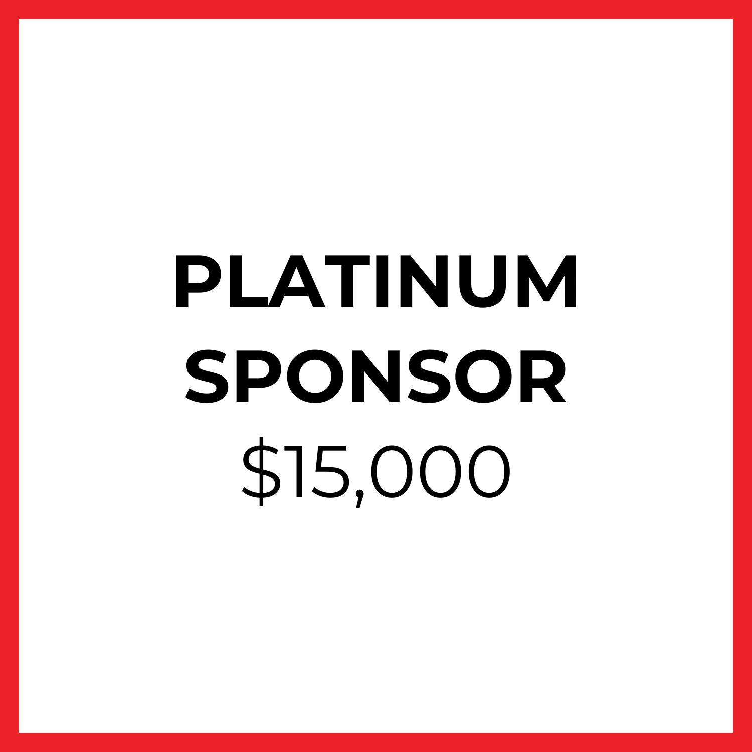 auction 2024 – platinum sponsor-3