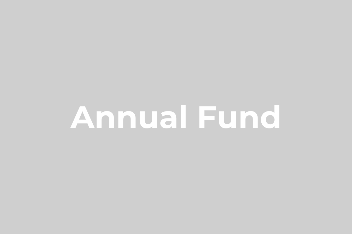 homepage button – annual fund