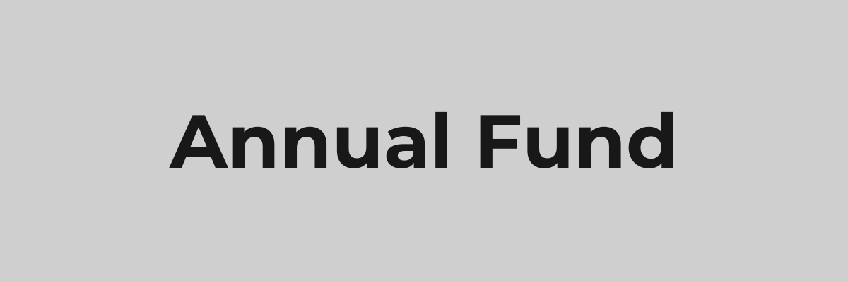 annual fund_homepage button