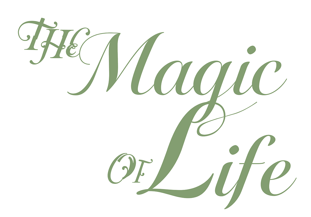 FotoFinish 2025_the magic of life_logo_web