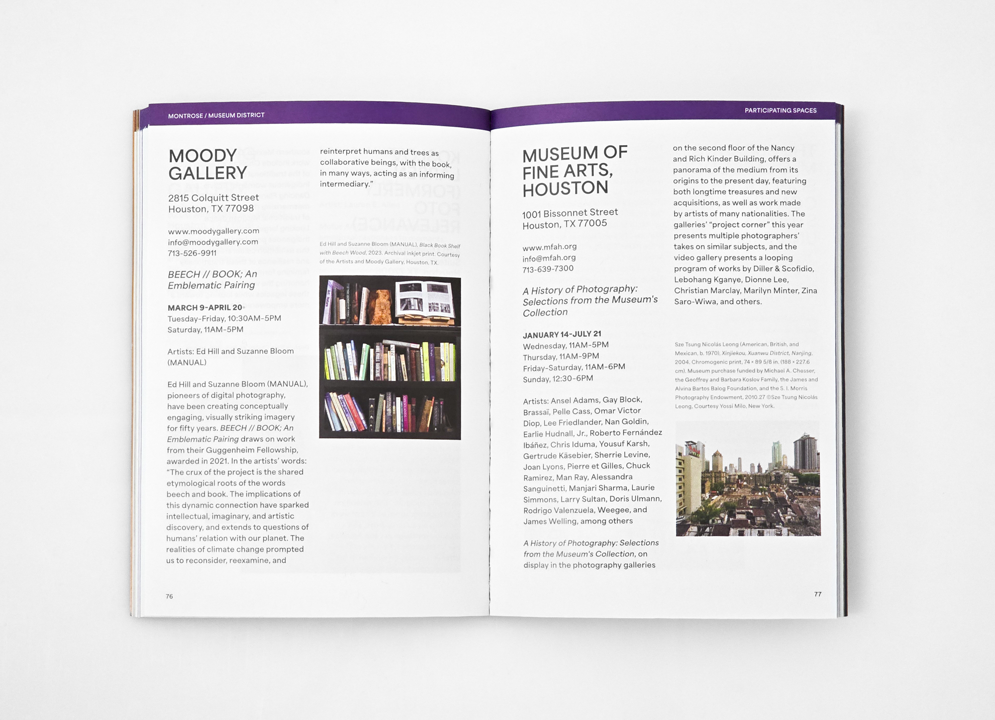 biennial 2024 guide